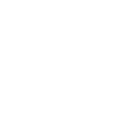 New Dawn Training logo