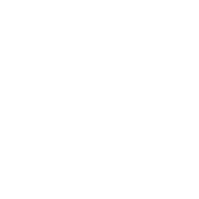 Lifetime training logo